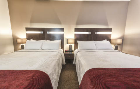 Nom de la chambre